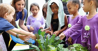 Gardeneers: Community Gardens in Chicago