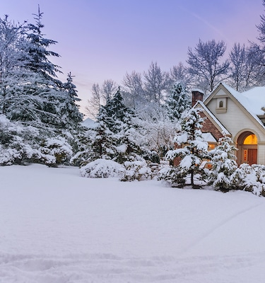 <strong>Holiday Warehouse Sale</strong>