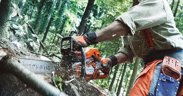 Man cutting tree with chainsaw