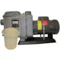 Pacer Transfer Pumps
