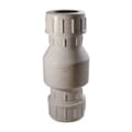 1-1/4 Inch Check Valves