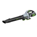 EGO Leaf Blowers