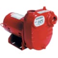 Red Lion Dewatering Pumps