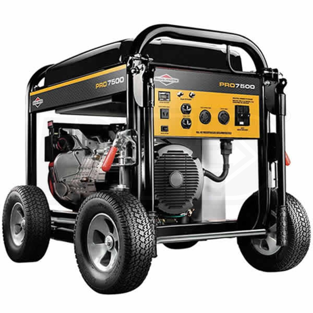 Briggs & Stratton 30555