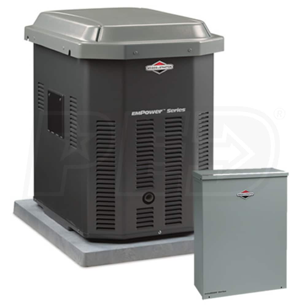 Briggs & Stratton 40301PACK