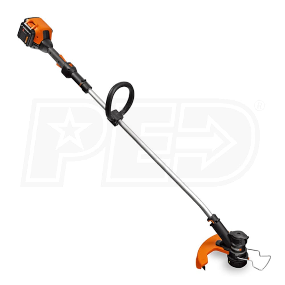 Worx 13