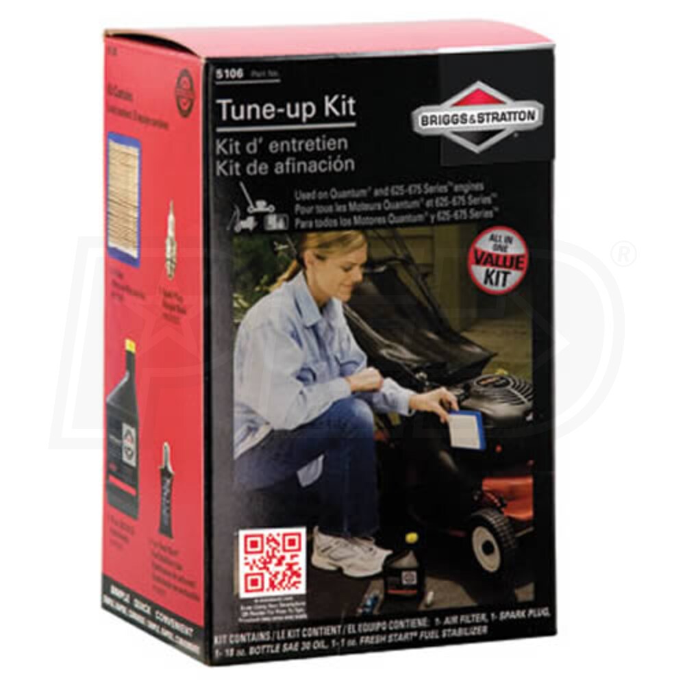 Briggs & Stratton 5131B