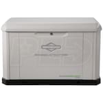 Briggs & Stratton 040678