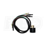 Honda RV Adapter Kit & Companion Cable for EU2 Series Generators (30-Amp Male)