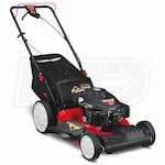 Troy-Bilt (21