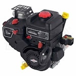Briggs & Stratton Professional Snow Series 250cc Horizontal Engine, 1