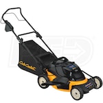 Cub Cadet (19