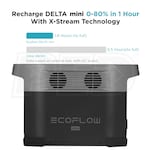 EcoFlow DELTAMINIUS112