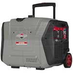 Briggs & Stratton 30795