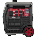 Briggs & Stratton 30795