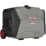 Briggs & Stratton 30795