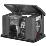 Briggs & Stratton 40336