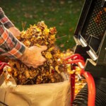 DR Power Equipment WL31004DMN