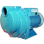 Burcam Pumps 80 GPM 2 HP Cast Iron Lawn Sprinkler/Irrigation Pump