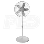 Learn More About  9119