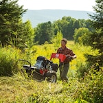 DR Power Equipment AT45030BEN