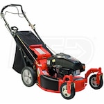 Ariens Classic LM21SW (21