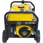 Firman Generators P03608