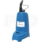 Goulds PE-Series - 1/3 HP Cast Iron Effluent Pump (Non-Automatic)