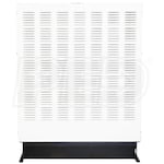 Generac Protector RG08045GNAC