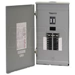 Reliance Controls 100-Amp Prewired Outdoor Transfer Panel w/ Wattmeters