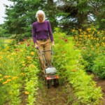 DR Power Equipment TW13140DMN