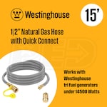 Westinghouse W12NGH15