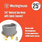 Westinghouse W34NGH25