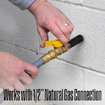 Westinghouse W12NGH25