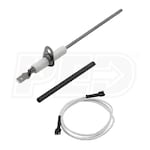 Learn More About  790-843A1