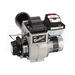 Learn More About 521100042 Learn More About 521100042