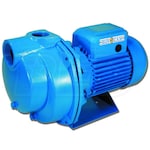 Bur-Cam 78 GPM 1-1/2 HP Cast Iron Lawn Sprinkler/Irrigation Pump (Scratch & Dent)