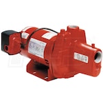 Red Lion 24 GPM 1 HP Cast Iron Shallow Well Jet Pump
