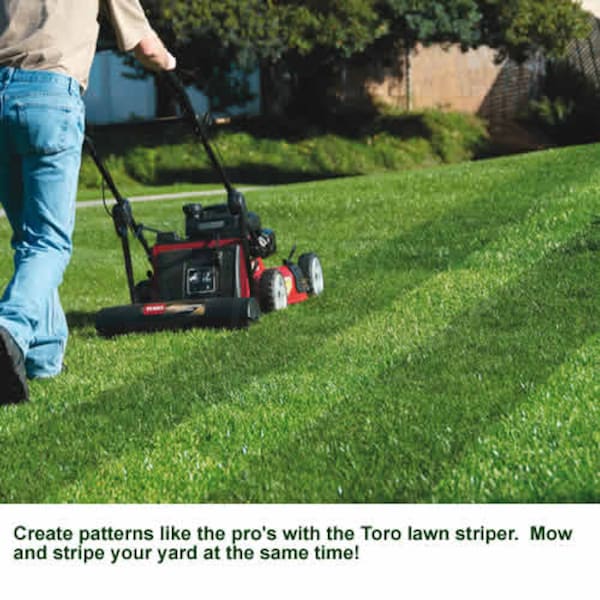 Toro 20601