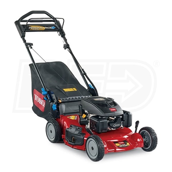 Toro 21381-SD