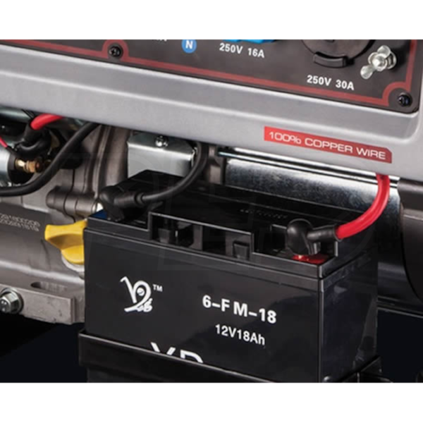 Briggs & Stratton 30470