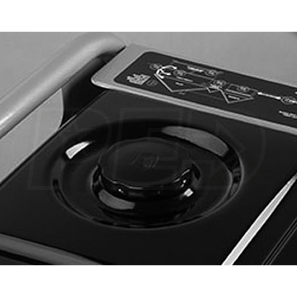 Briggs & Stratton 30547