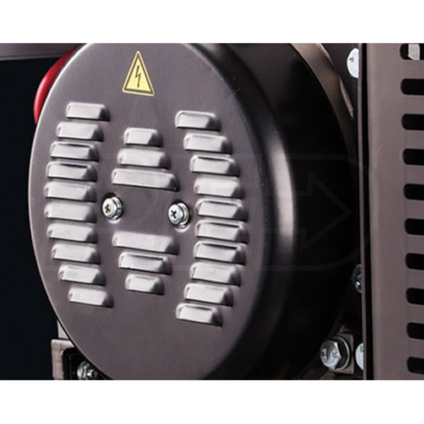 Briggs & Stratton 30547