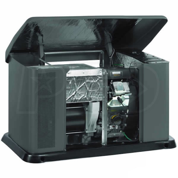 Briggs & Stratton 40484