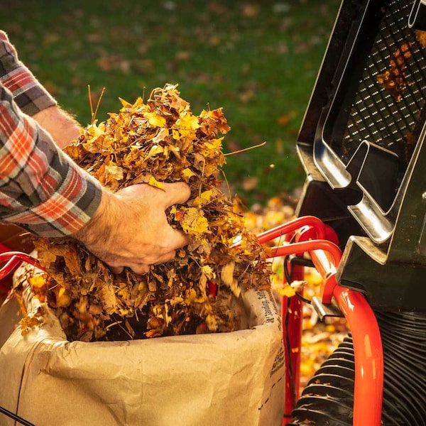 DR Power Equipment WL31004DMN