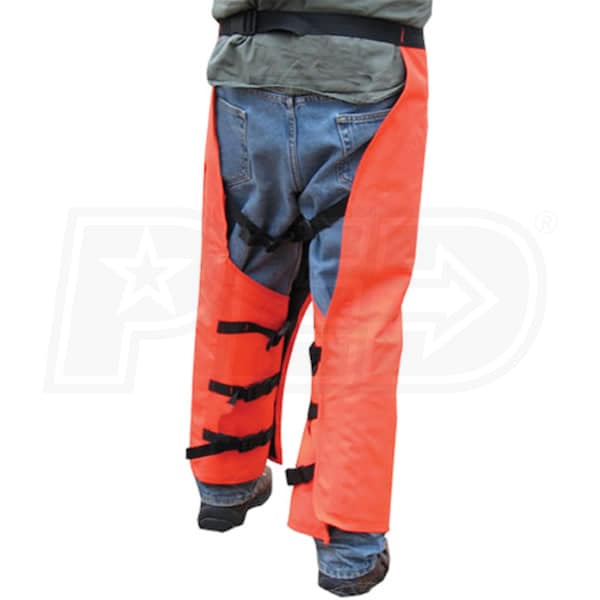 Forester CHAP1237-SG