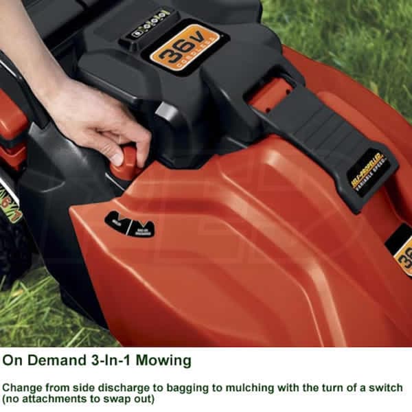 Black Decker 19
