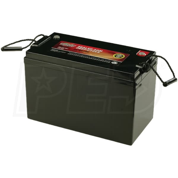 Interstate Batteries DCM0100-SD