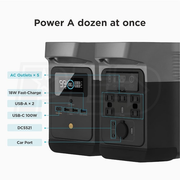 EcoFlow DELTAMINIUS111