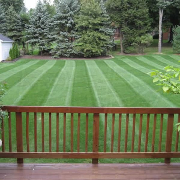 Checkmate universal lawn hotsell striping kit